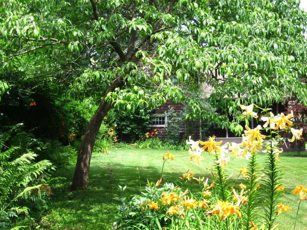 Baldwinsville Bed And Breakfast Ngoại thất bức ảnh